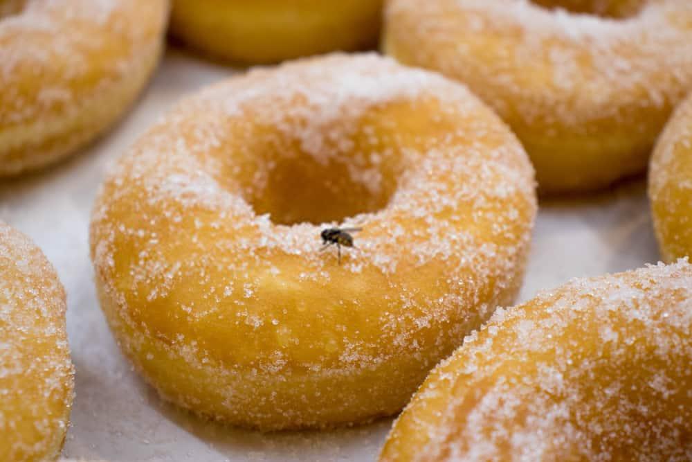 %e1%80%9a%e1%80%84%e1%80%ba%e1%80%80%e1%80%b1%e1%80%ac%e1%80%84%e1%80%ba