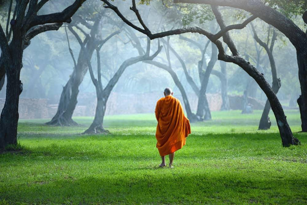ဥပုသ်စောင့် ခြင်းရဲ့ ကျန်းမာရေး အကျိုးကျေးဇူးများ