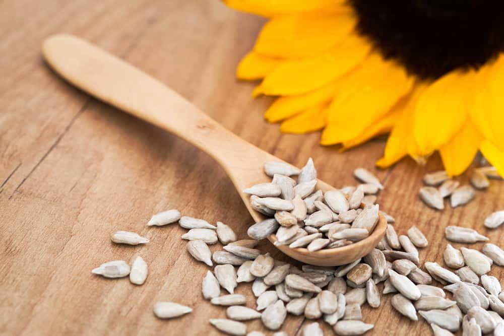 amazing-benefits-of-eating-sunflower-seeds-during-pregnancy