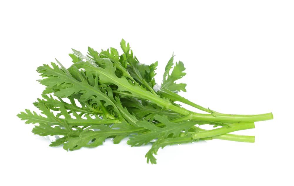 chrysanthemum-greens-health-benefits