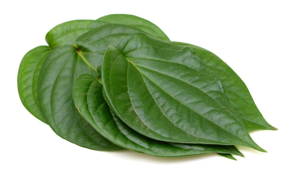 beauty-uses-of-betel-leaves