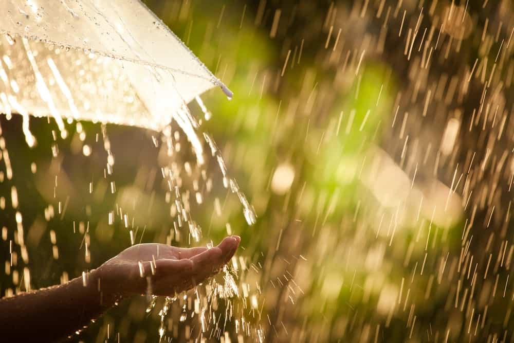 the-scent-of-rain-reduces-stress-levels-and-helps-you-relax