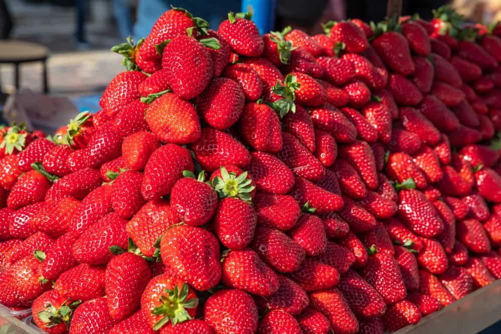 %e1%80%85%e1%80%90%e1%80%b1%e1%80%ac%e1%80%ba%e1%80%98%e1%80%9a%e1%80%ba%e1%80%9b%e1%80%ae%e1%80%9e%e1%80%ae%e1%80%b8-%e1%80%94%e1%80%be%e1%80%84%e1%80%b7%e1%80%ba-%e1%80%a1%e1%80%9e%e1%80%ac%e1%80%b8