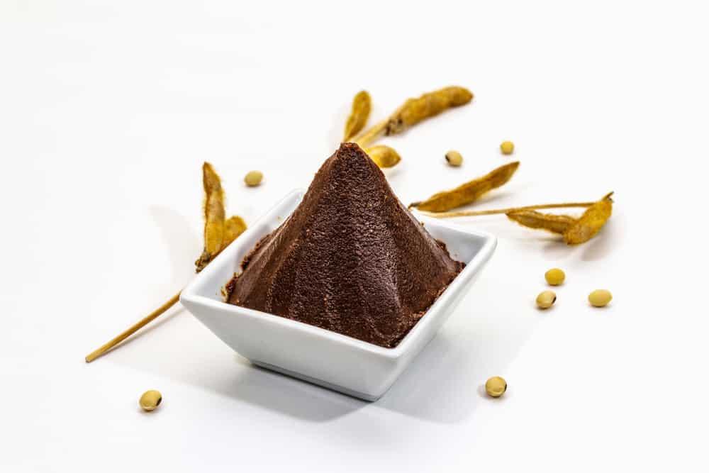 fermented-soybean-paste