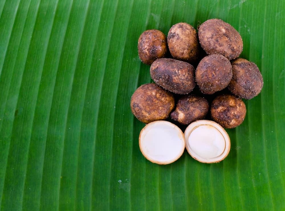 false-earthstar-health-benefits