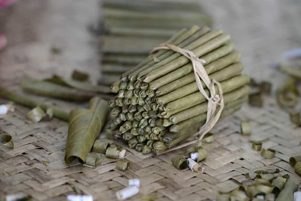 cheroots-health-risks