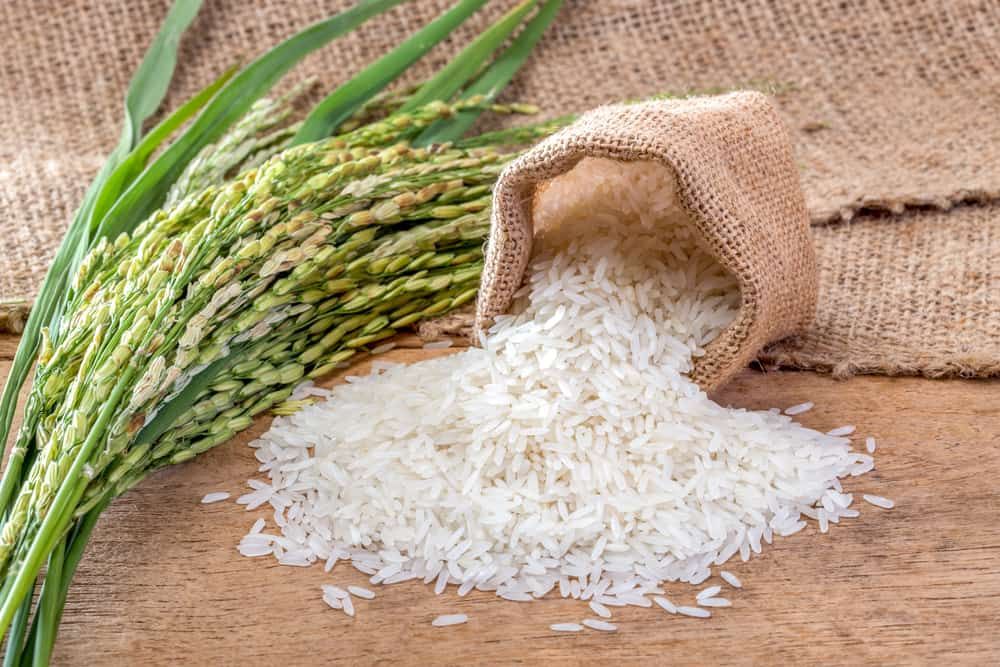 the-beauty-benefits-of-rice