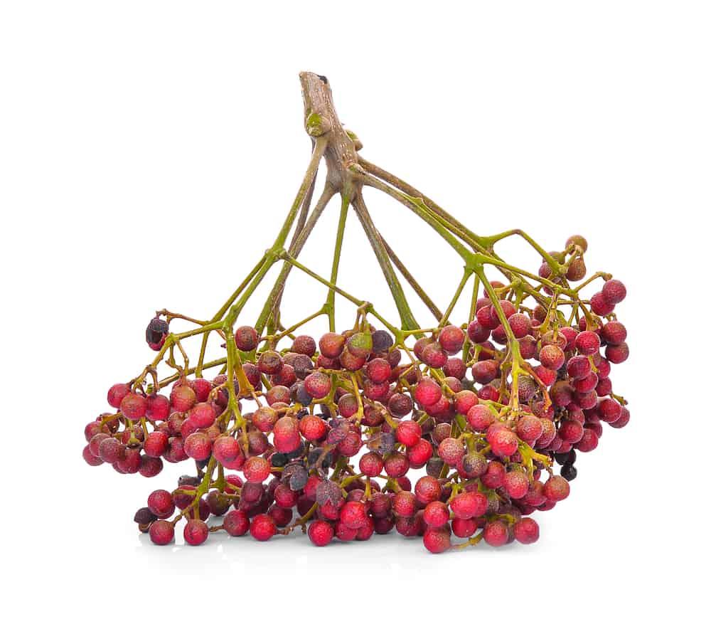 sichuan-pepper-benefits