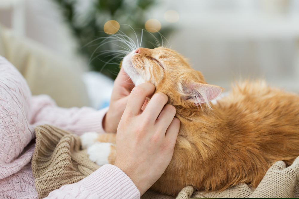 %e1%80%95%e1%80%91%e1%80%99%e1%80%86%e1%80%af%e1%80%b6%e1%80%b8%e1%80%a1%e1%80%80%e1%80%bc%e1%80%ad%e1%80%99%e1%80%ba-%e1%80%80%e1%80%bc%e1%80%b1%e1%80%ac%e1%80%84%e1%80%ba%e1%80%99%e1%80%bd%e1%80%b1