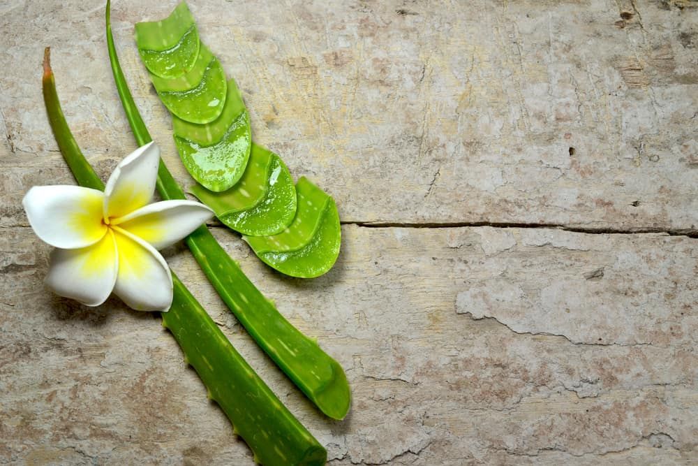 how-to-use-aloe-vera-for-sunburn