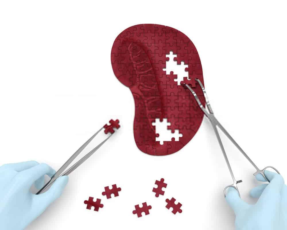 %e1%80%98%e1%80%b1%e1%80%9c%e1%80%af%e1%80%b6%e1%80%b8%e1%80%91%e1%80%af%e1%80%90%e1%80%ba-%e1%80%95%e1%80%bc%e1%80%ae%e1%80%b8%e1%80%90%e1%80%b2%e1%80%b7%e1%80%94%e1%80%b1%e1%80%ac%e1%80%80%e1%80%ba