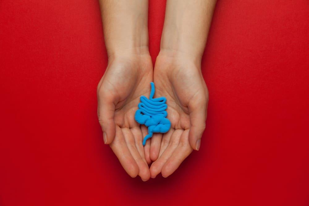 အူလမ်းကြောင်းစနစ်ဘယ်လိုအလုပ်လုပ်သလဲ