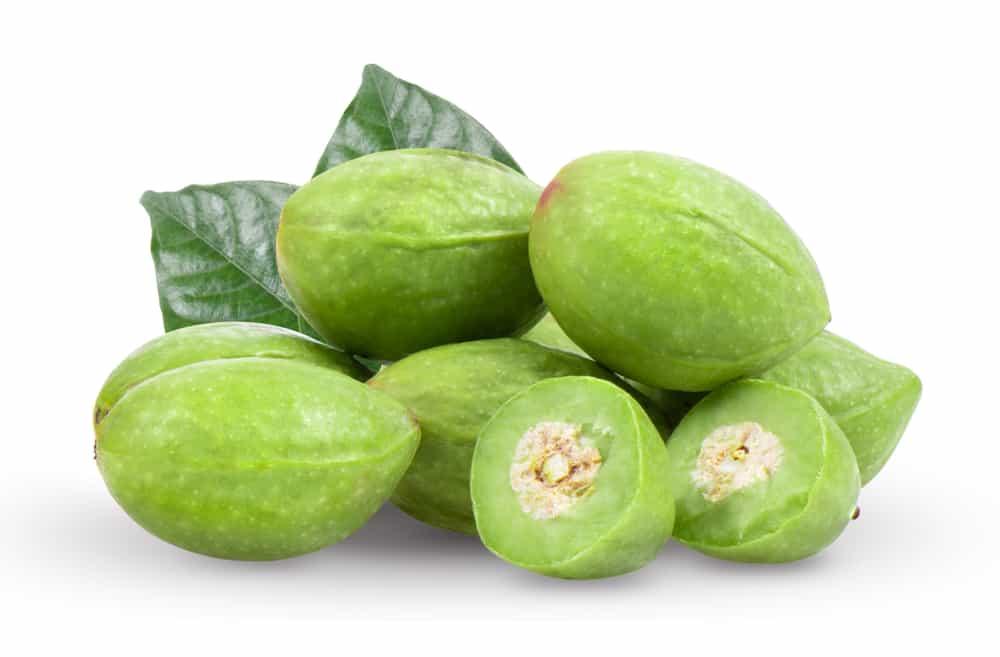ဖန်ခါးသီး ရဲ့ ဆေးဖက်ဝင်မှု အဖုံဖုံ