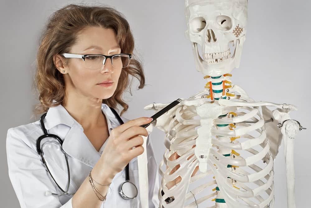 အရိုးနဲ့ ကြွက်သားစနစ်မှာ ဘာတွေပါလဲ။