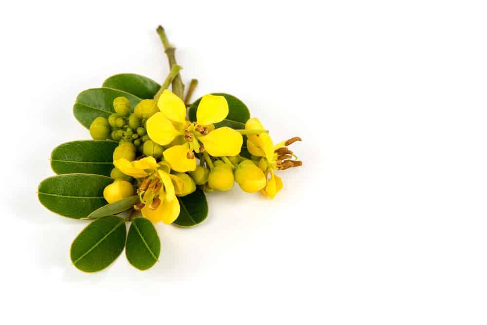 %e1%80%86%e1%80%b1%e1%80%b8%e1%80%95%e1%80%b1%e1%80%ab%e1%80%84%e1%80%ba%e1%80%b8%e1%80%81%e1%80%90%e1%80%b2%e1%80%b7-%e1%80%99%e1%80%9a%e1%80%ba%e1%80%87%e1%80%9c%e1%80%ae%e1%80%a1%e1%80%80%e1%80%bc