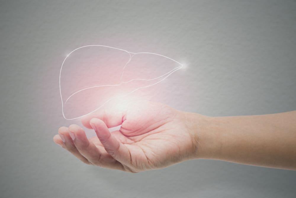 အသည်းတစ်ခြမ်းနဲ့ လူသား