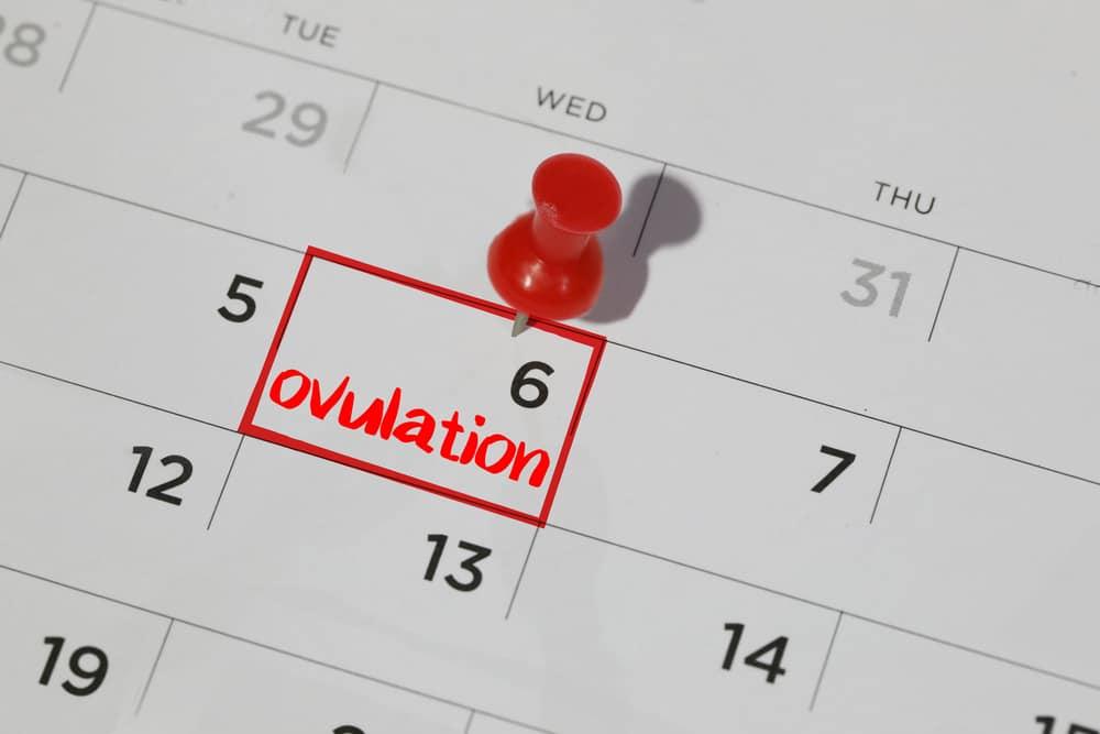 benefits-of-knowing-your-ovulation-period-and-how-to-know-that