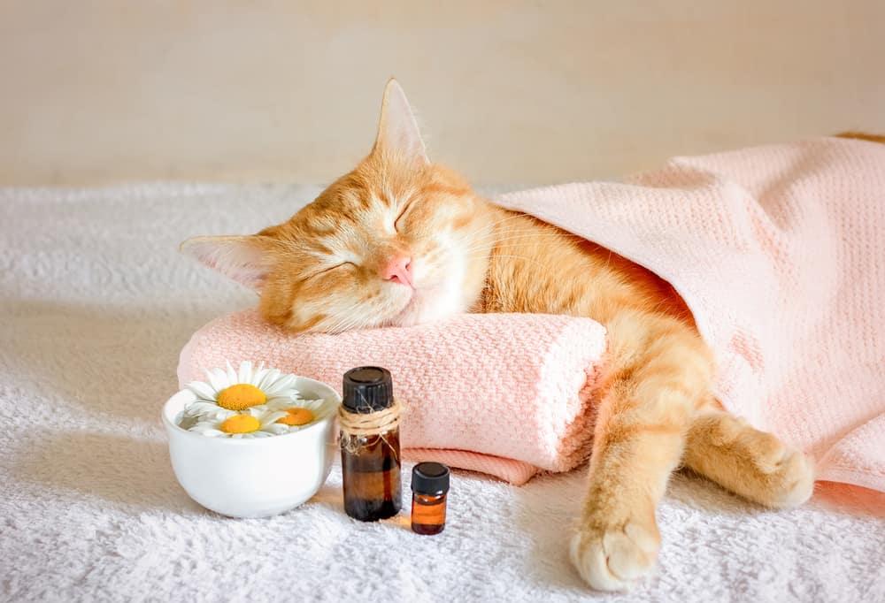ရနံ့ကုထုံး (Aromatherapy) ရဲ့ ကျန်းမာရေးအကျိုးကျေးဇူး