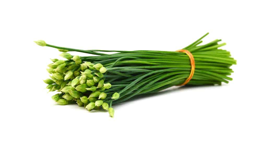 fresh-chives-health-benefits