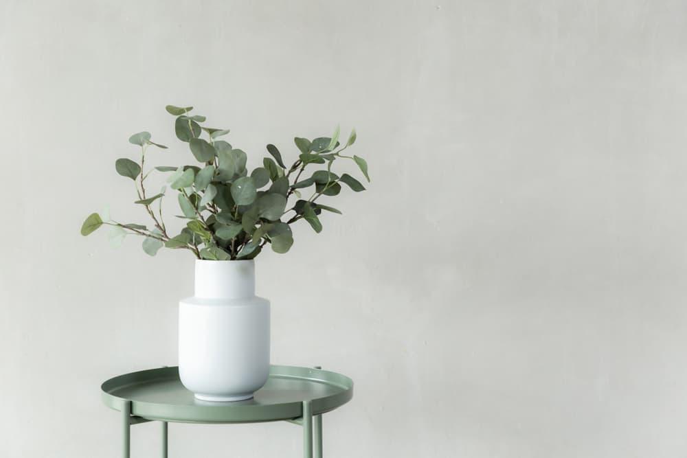 household-air-pollution