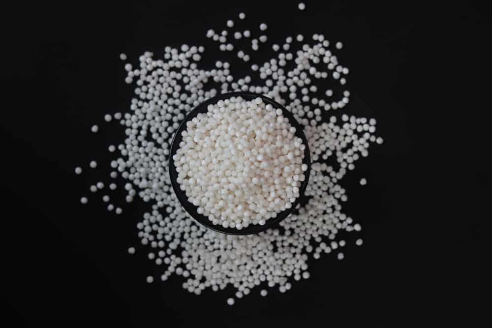 beauty-benefits-of-sago