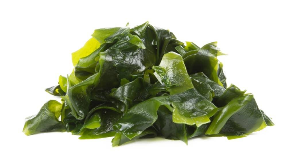 kelp-health-benefits