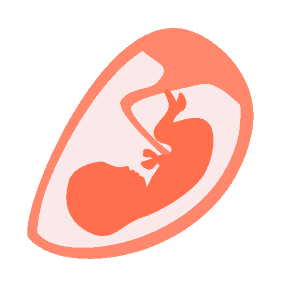 ကိုယ်ဝန်ဆောင်ကာလ