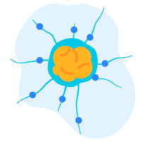 ဦးနှောက်နှင့် အာရုံကြောမကြီး ရောဂါ
