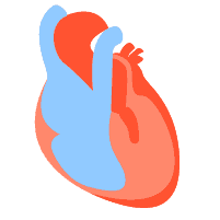 နှလုံးကြွက်သားရောဂါများ