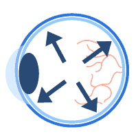 အတွင်းတိမ်