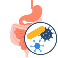 အထက်လန်အောက်လျှောခြင်း