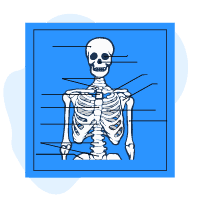 အခြေခံကျသည့် ကျန်းမာရေးဗဟုသုတများ