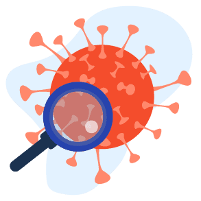 လိင်အင်္ဂါကြွက်နို့များ