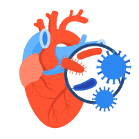 နှလုံးပိုးဝင်ရောင်ရမ်းခြင်း