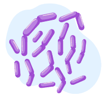 တခြား ဘက်တီးရီးယား ကူးစက်ရောဂါများ