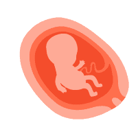 ဒုတိယ သုံးလပတ်