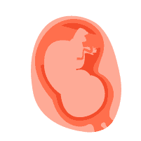 တတိယ သုံးလပတ်