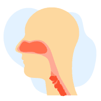 လည်ချောင်းပြဿနာများ