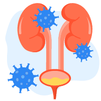 ဆီးလမ်းကြောင်းပိုးဝင်ခြင်း