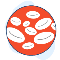 သွေးဖြူဥရောဂါများ