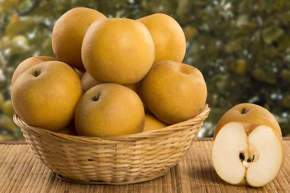 asian-pear-health-benefits