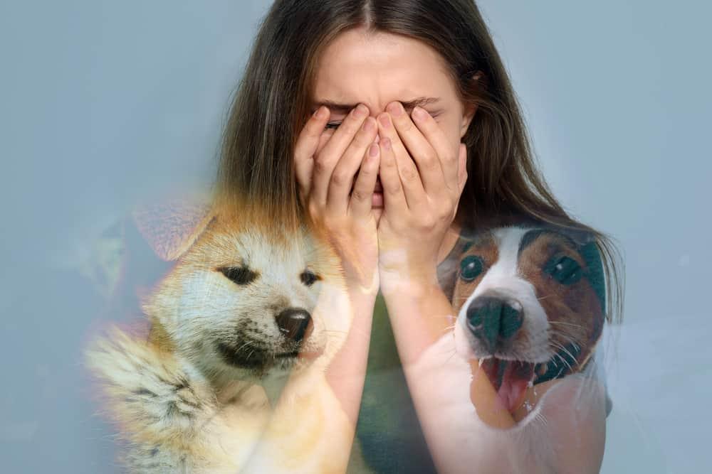 ခွေးကြောက်တဲ့ စိတ်ရောဂါ (Cynophobia)