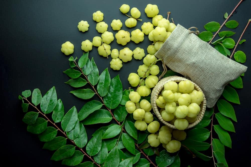 star-gooseberry-benefits