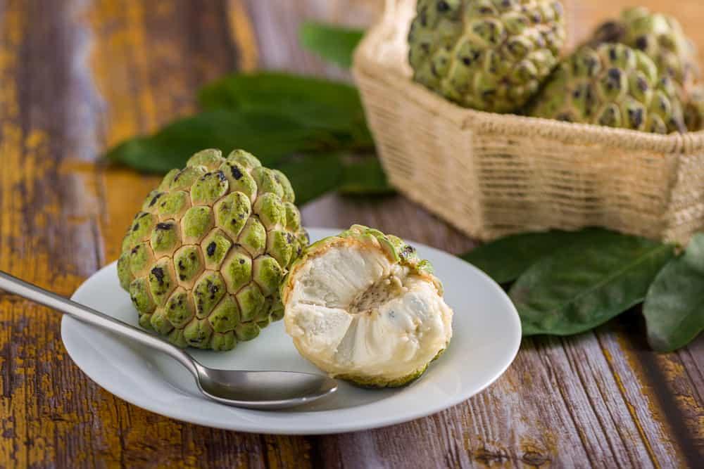 custard-apple-for-babies