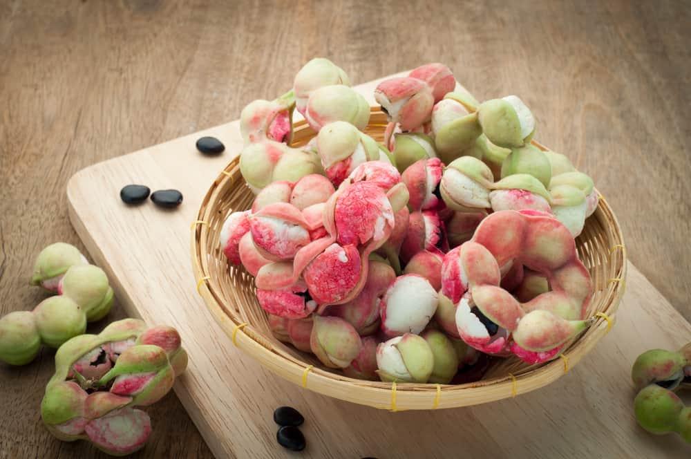 manila-tamarind-health-benefits