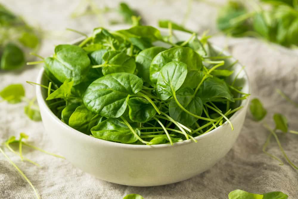 watercress-benefits