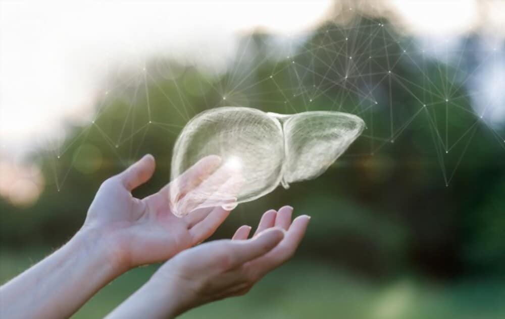 အသည်း ရောဂါများ အကြောင်း