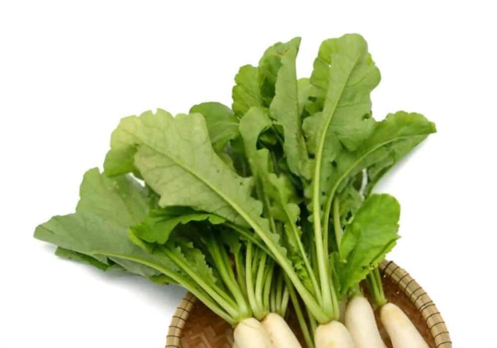 white-radish-benefits-for-babies