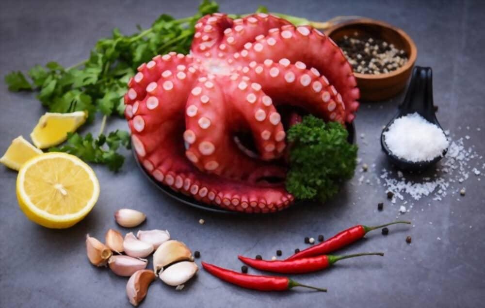 octopus-health-benefits