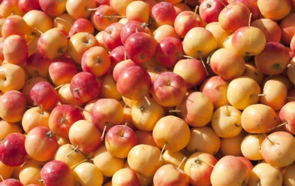 crab-apple-benefits